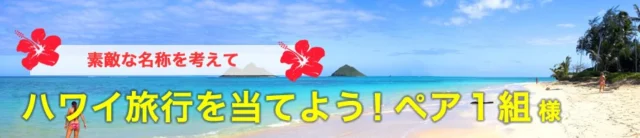 素敵な名称を考えるとハワイ旅行が当たる！