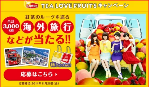 Lipton 製品情報