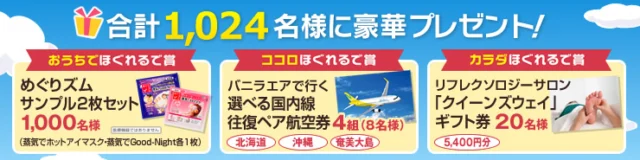 北海道・沖縄・奄美大島から選ぶ、往復ペア航空券が当たる懸賞！