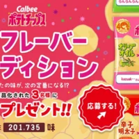 ポテチの新しい味を考えて100万円が当たる現金懸賞！