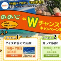 沖縄 3泊4日の旅が3組6名様に当たる、国内旅行懸賞！！
