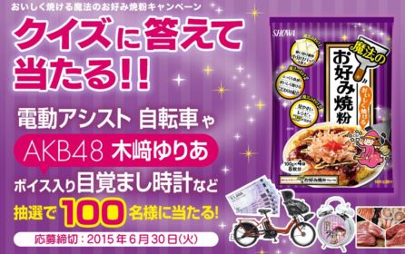 おいしく焼ける魔法のお好み焼粉キャンペーン 昭和産業株式会社