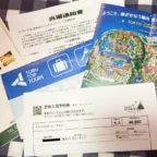 ディズニーランド入場チケット＆ホテル宿泊券が当選しました！