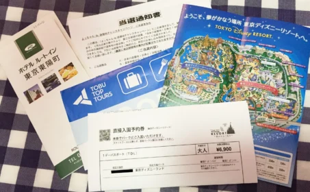 ディズニーランド入場チケット＆ホテル宿泊券が当選しました！