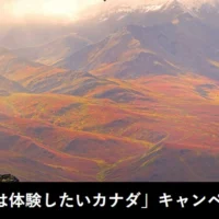エア・カナダ往復航空券が当たる海外旅行懸賞！