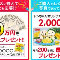 クイズに答えて現金20万円が当たる豪華高額懸賞！