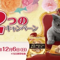10万円分のジェフグルメカードが当たる高額懸賞！