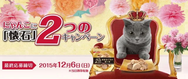 にゃんこに懐石　2つのキャンペーン｜ 日清ペットフード