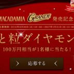 100万円相当のダイヤモンドが当たる豪華高額懸賞！