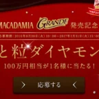 100万円相当のダイヤモンドが当たる豪華高額懸賞！