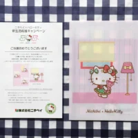 ニチベイの懸賞でハローキティWクリアファイルが当選！