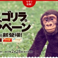 1万円分のQUOカードが毎日当たる明治のキャンペーン！