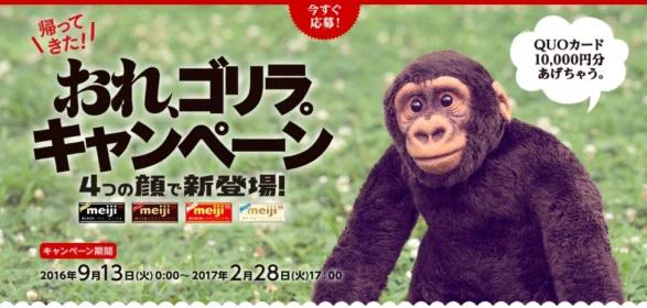 1万円分のQUOカードが毎日当たる明治のキャンペーン！