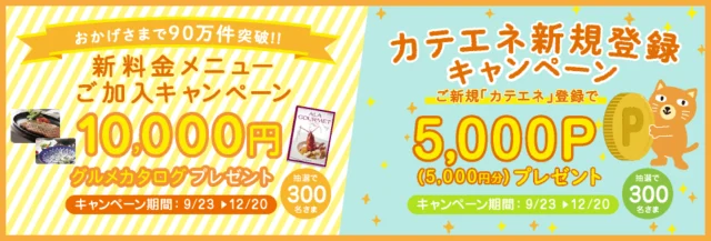 カテエネ2つのキャンペーン
