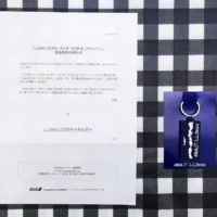 Twitter懸賞でANA×L.L.Beanのコラボグッズが当選しました！