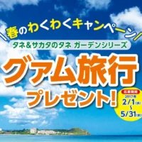 3泊4日グアム旅行が当たる、サカタのタネの高額懸賞！