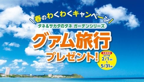 3泊4日グアム旅行が当たる、サカタのタネの高額懸賞！