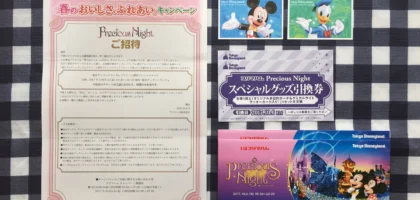 東京ディズニーランドの完全貸切ペアチケットが当選！！