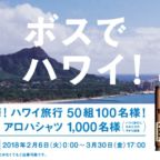 50組100名様にハワイ旅行が当たる、夢のような海外旅行懸賞！