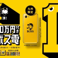 10名様に当たる！100万円付き九州ボス電キャンペーン