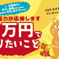 「1万円の夢」を投稿して1万円が100人に当たるTwitter懸賞！