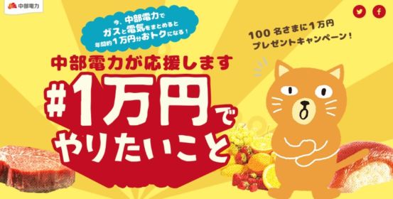 「1万円の夢」を投稿して1万円が100人に当たるTwitter懸賞！