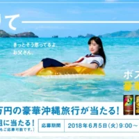 家族で100万円分の「豪華沖縄旅行」が当たる高額懸賞!