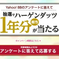 ハーゲンダッツ1年分（366個）が当たる豪華懸賞！
