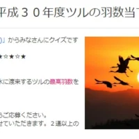 渡来するツルの数を予想して「10万円」が当たる高額懸賞！