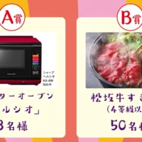 高額家電「ヘルシオ」や高級松阪牛が当たるananのキャンペーン