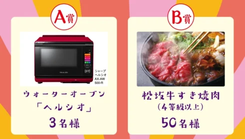 高額家電「ヘルシオ」や高級松阪牛が当たるananのキャンペーン