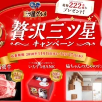 猫ちゃん用リフォーム(100万円相当)が当たる高額懸賞!
