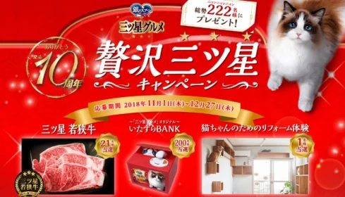 猫ちゃん用リフォーム（100万円相当）が当たる高額懸賞！