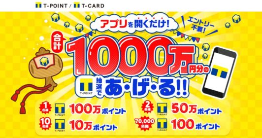 総額1,000万円、最高100万円分のTポイントが当たる高額懸賞！