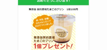 Twitter大量懸賞でシャトレーゼのプリンが当選！