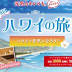 ハワイ旅行が当たる海外旅行懸賞！（3回応募可能）