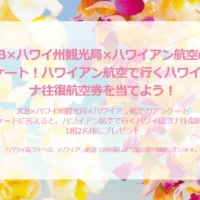 ハワイ島コナへの往復航空券が当たる海外旅行懸賞！