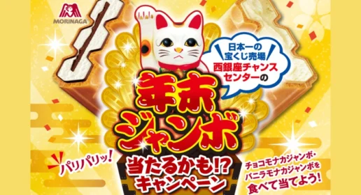 年末ジャンボ宝くじが100枚当たる！ジャンボモナカの懸賞