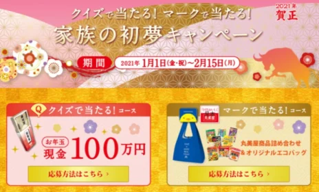 クイズに答えて現金100万円が5名に当たる高額初夢懸賞！