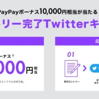 PayPayボーナス10,000円相当が270名に当たる、LINEMOのTwitterキャンペーン!