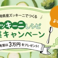 現金、宮崎牛、宮崎マンゴーが当たるズッキーニレシピ投稿キャンペーン！