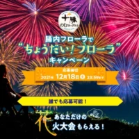 自分好みにカスタマイズできる「プライベート花火大会」が当たる高額懸賞！