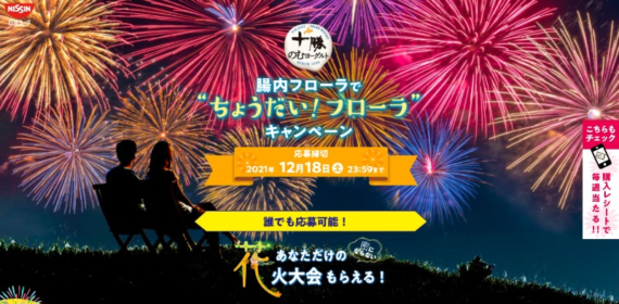 自分好みにカスタマイズできる「プライベート花火大会」が当たる高額懸賞！
