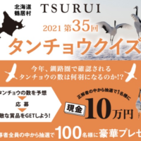 飛来するタンチョウの数を当てる、北海道鶴居村のタンチョウクイズ！