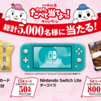 ギフト券3万円分、Nintendo Switch Liteなどが当たるクローズド高額懸賞！