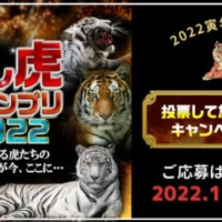 旅行券＆動物園入園券などが当たる2022推し虎グランプリ懸賞！