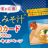 1万円分のQUOカードが最大300名に当たる高額懸賞！
