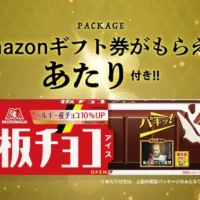 森永乳業の「板チョコアイス30個＆ミニ冷凍庫」が当たる豪華懸賞！