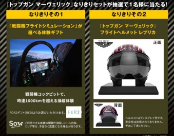 戦闘機フライトシミュレーション体験などが当たる高額懸賞！