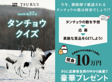 今年飛来するタンチョウの数を当てる、鶴居村タンチョウクイズ！